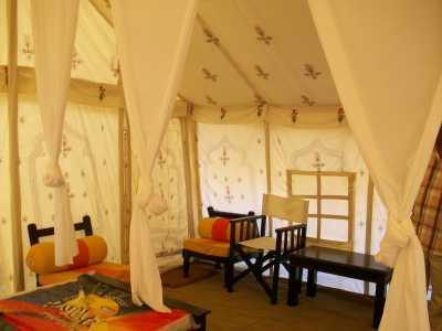 Spirit Desert Camp